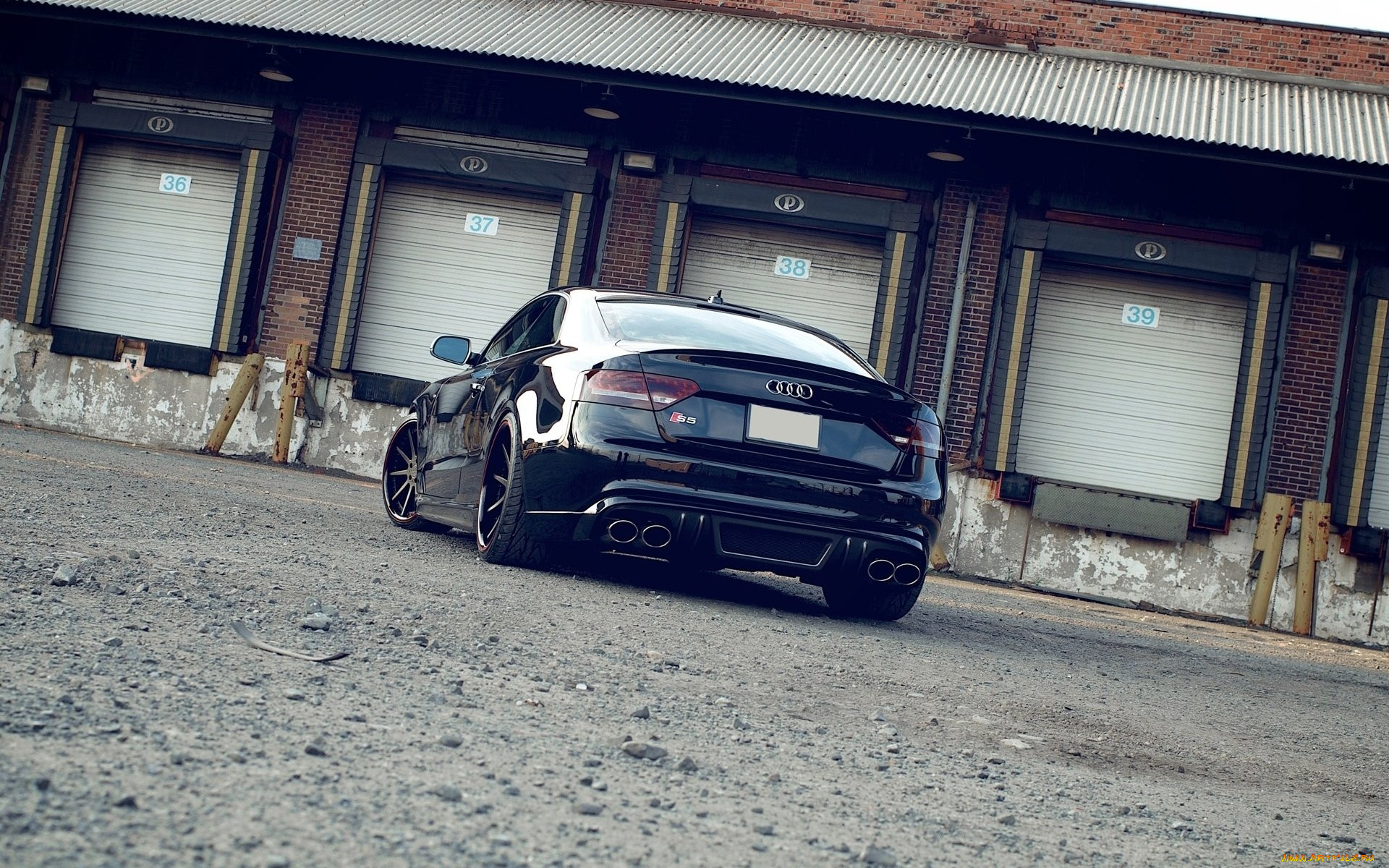 audi a5, , audi, , 